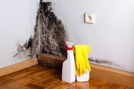 Mold Documentation for Insurance Claims in Beaverton, OR